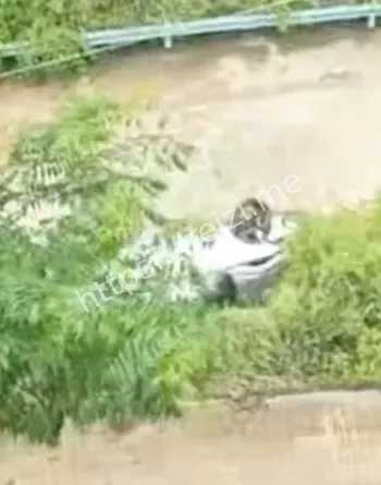 坦克300追尾事故